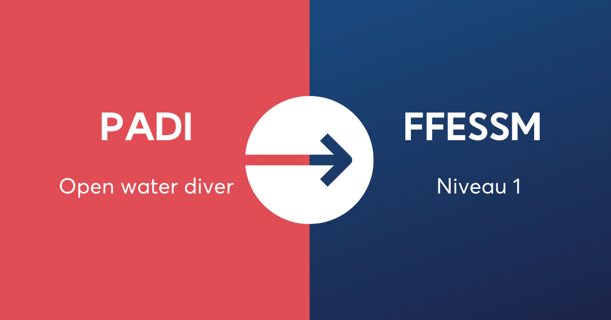 Passerelle Open water diver Padi / niveau 1 FFESSM